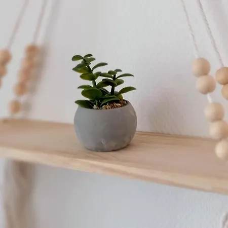 Berghotel Heiligenberg 3*