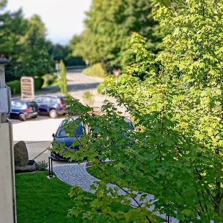 Berghotel Heiligenberg 3* Хайлигенберг